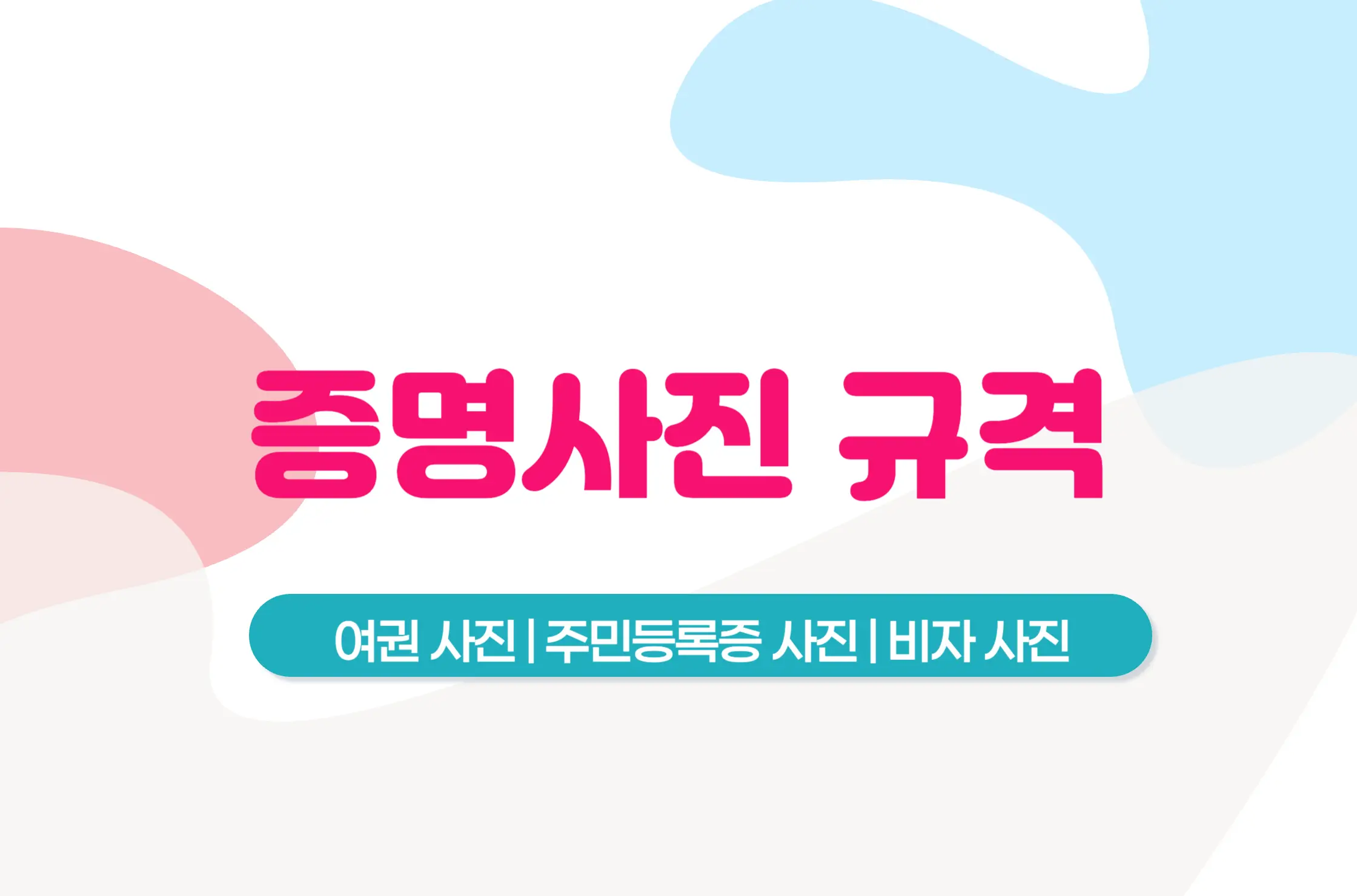 증명사진 규격