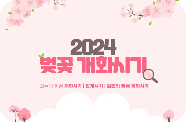 2024 벚꽃 개화시기