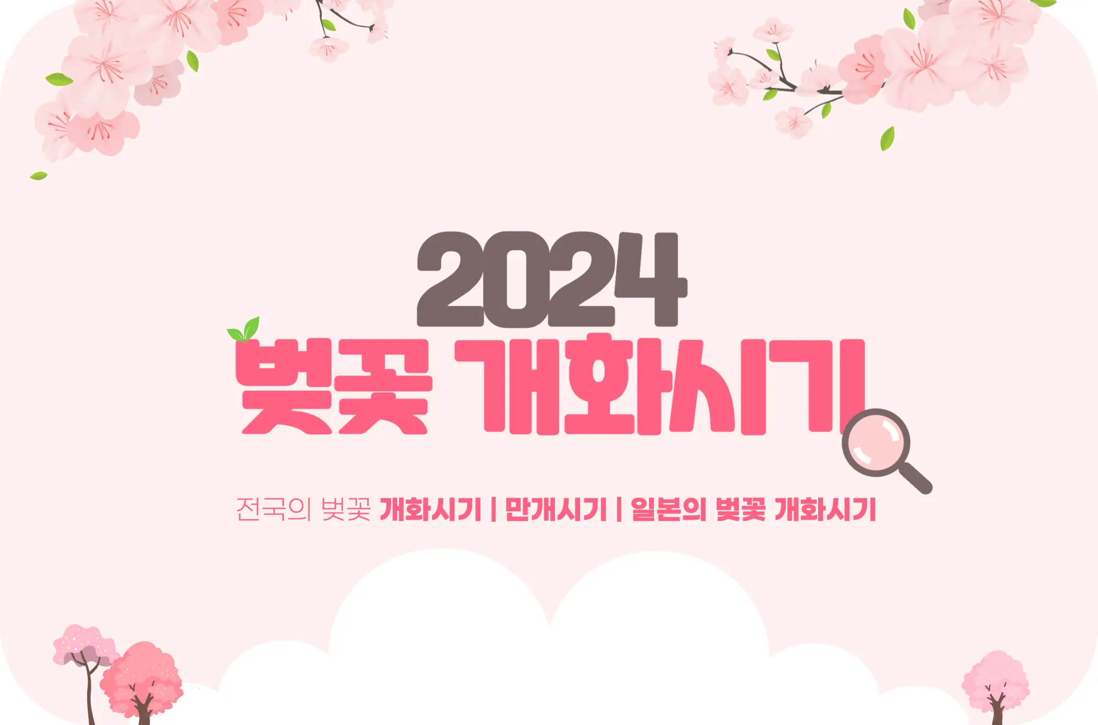 2024 벚꽃 개화시기