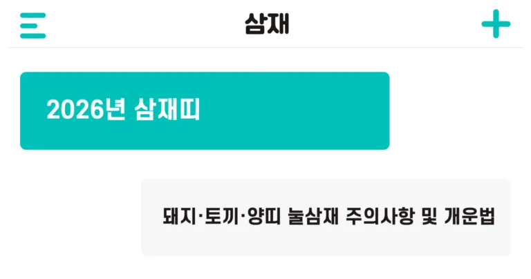 2026년 삼재띠